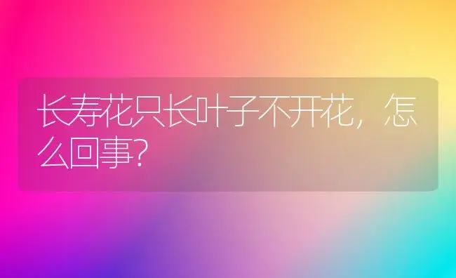 长寿花只长叶子不开花,怎么回事？ | 多肉养殖