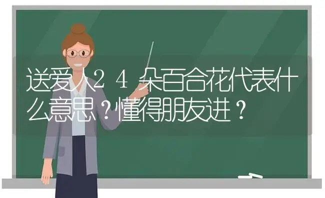 送爱人24朵百合花代表什么意思？懂得朋友进？ | 绿植常识