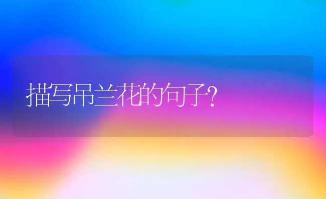 描写吊兰花的句子？ | 绿植常识