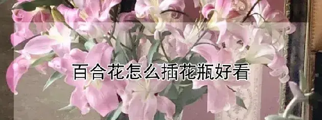 百合花怎么插花瓶好看