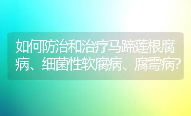 如何防治和治疗马蹄莲根腐病、细菌性软腐病、腐霉病？ | 家庭养花