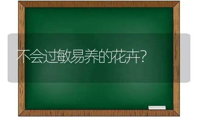 不会过敏易养的花卉？ | 多肉养殖