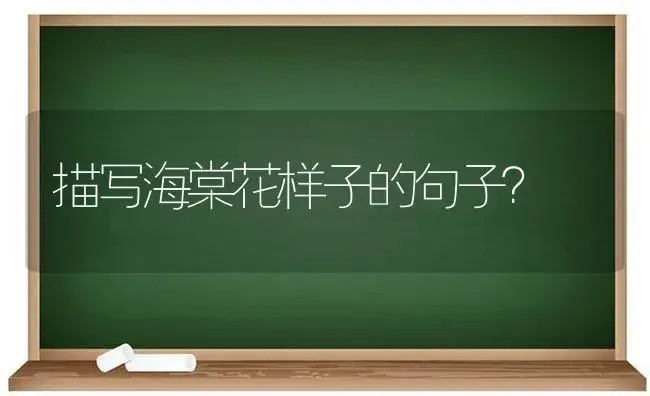 描写海棠花样子的句子？ | 绿植常识