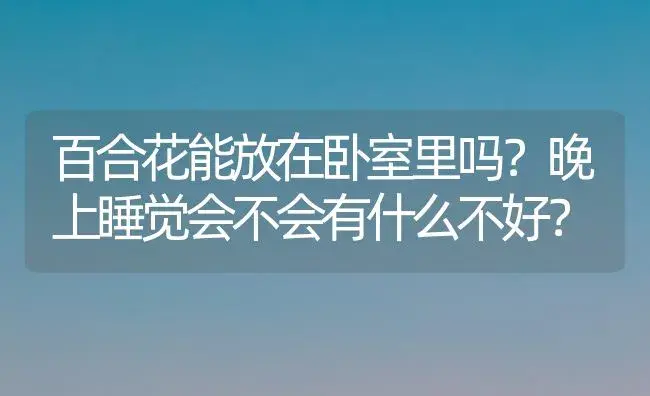 百合花能放在卧室里吗？晚上睡觉会不会有什么不好？ | 绿植常识