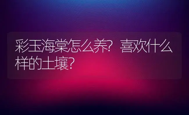 彩玉海棠怎么养?喜欢什么样的土壤？ | 绿植常识