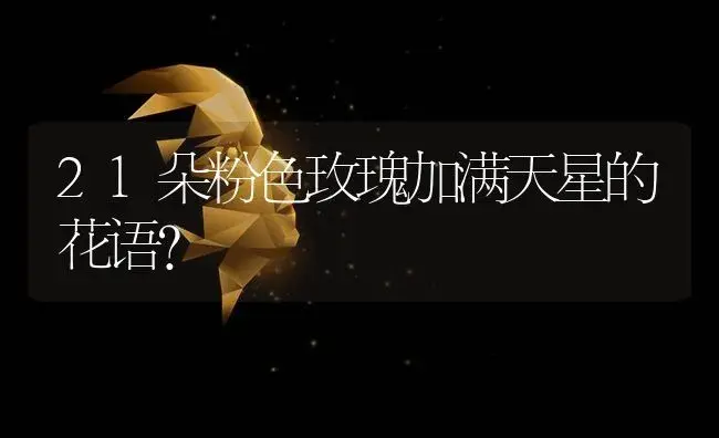 21朵粉色玫瑰加满天星的花语？ | 绿植常识