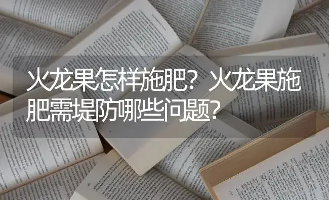 火龙果怎样施肥？火龙果施肥需堤防哪些问题？ | 果木种植