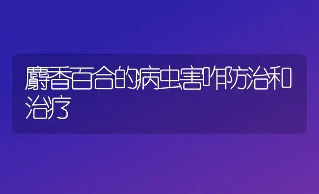 麝香百合的病虫害咋防治和治疗 | 家庭养花