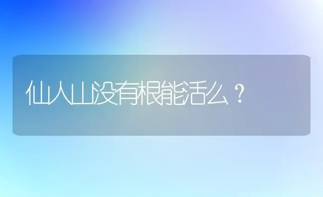 仙人山没有根能活么？ | 多肉养殖