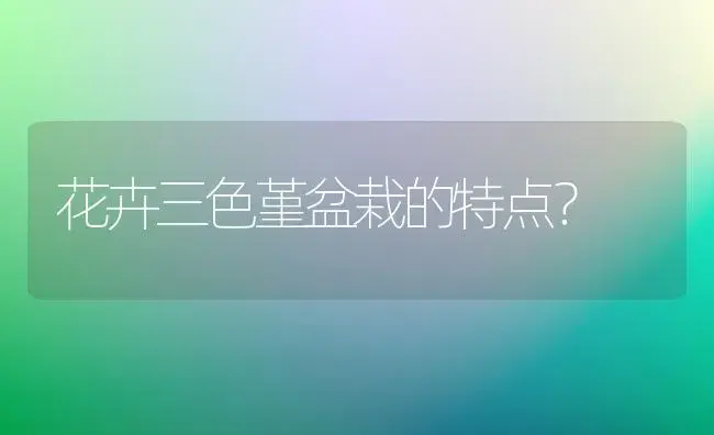 花卉三色堇盆栽的特点？ | 绿植常识