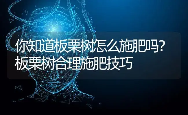 你知道板栗树怎么施肥吗？板栗树合理施肥技巧 | 果木种植