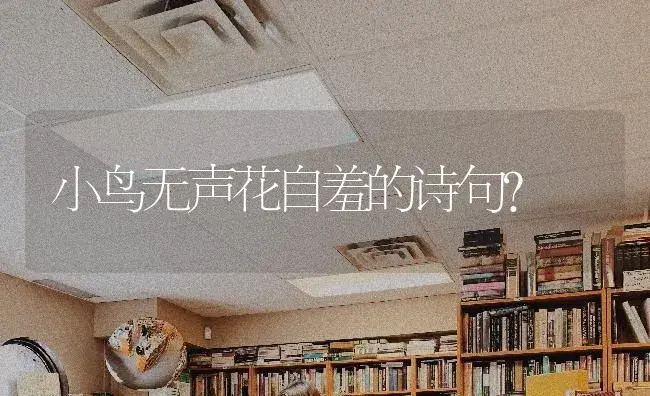 小鸟无声花自羞的诗句？ | 绿植常识