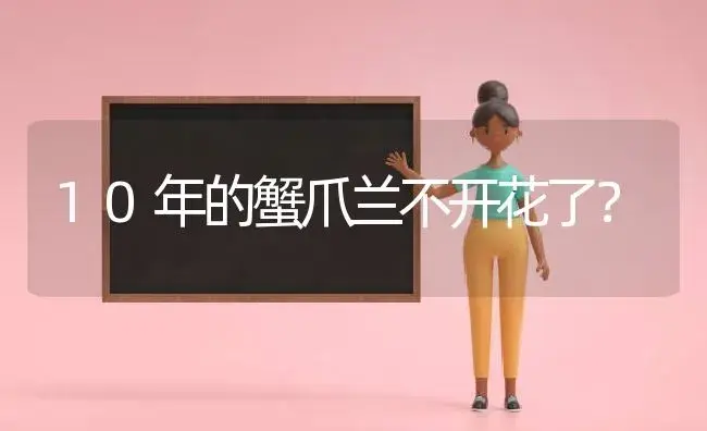 10年的蟹爪兰不开花了？ | 多肉养殖
