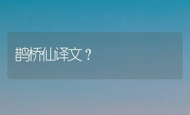 鹊桥仙译文？ | 多肉养殖