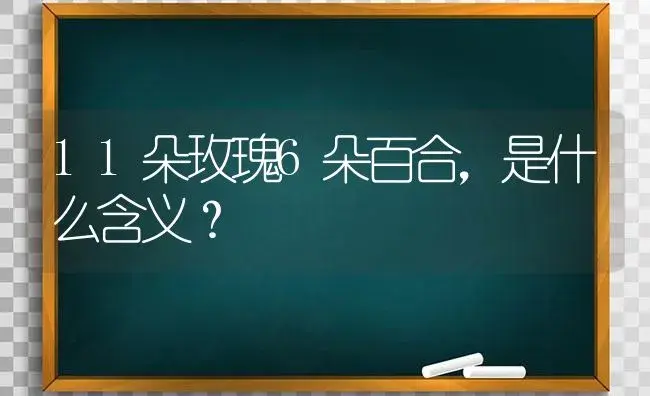 11朵玫瑰6朵百合，是什么含义？ | 绿植常识