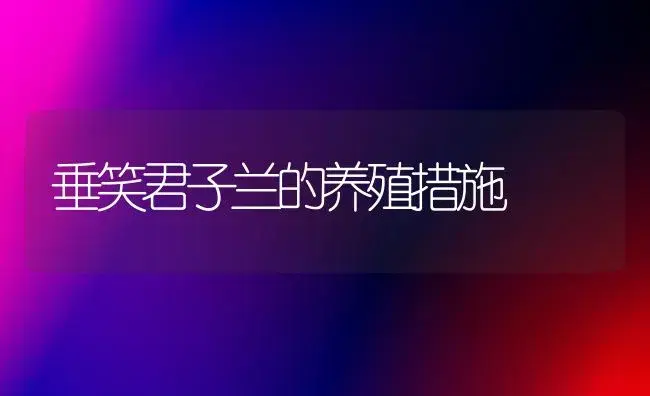 垂笑君子兰的养殖措施 | 家庭养花