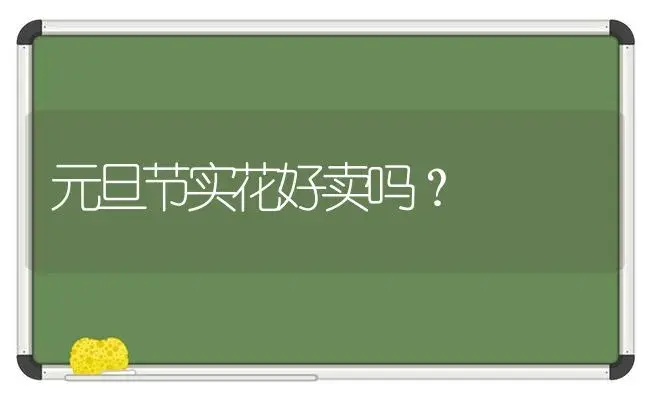 元旦节实花好卖吗？ | 绿植常识