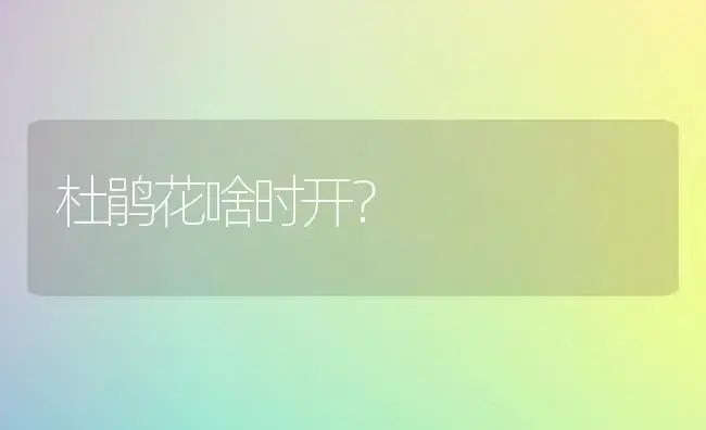 杜鹃花啥时开？ | 绿植常识