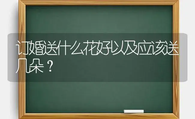 买回来的蝴蝶兰多长时间浇水？ | 绿植常识