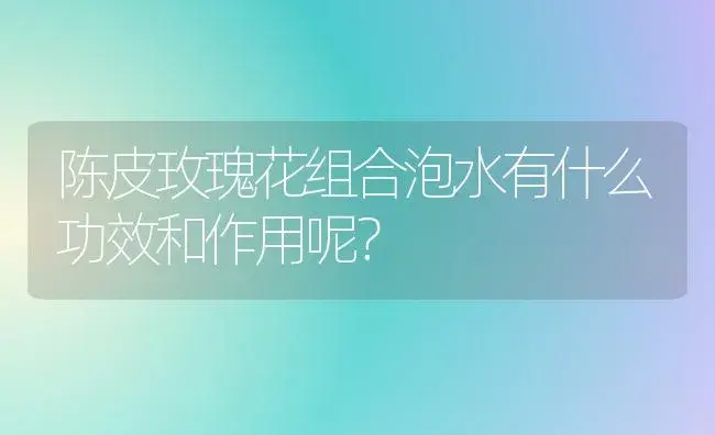 陈皮玫瑰花组合泡水有什么功效和作用呢？ | 绿植常识