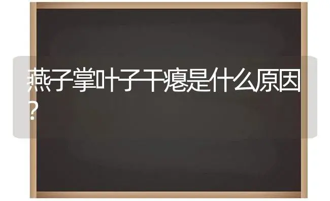 燕子掌叶子干瘪是什么原因？ | 多肉养殖