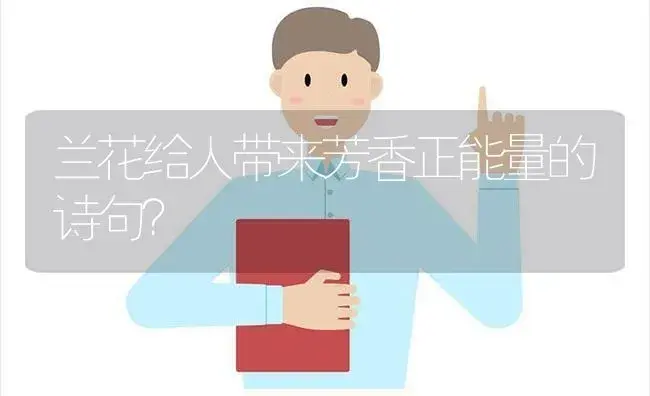 兰花给人带来芳香正能量的诗句？ | 绿植常识