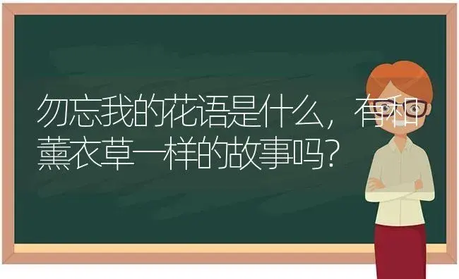 勿忘我的花语是什么，有和薰衣草一样的故事吗？ | 绿植常识