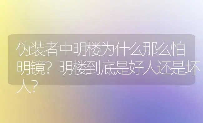 伪装者中明楼为什么那么怕明镜？明楼到底是好人还是坏人？ | 多肉养殖