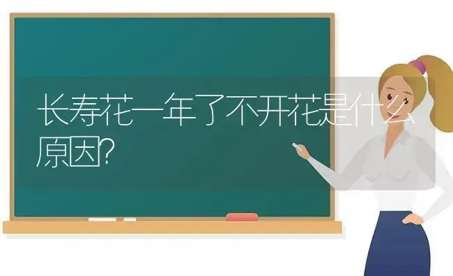 蟹爪兰嫁接北方最好在几月？ | 多肉养殖