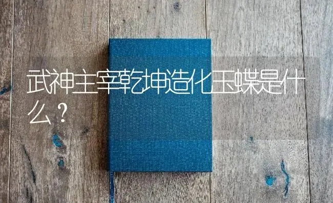 武神主宰乾坤造化玉蝶是什么？ | 多肉养殖