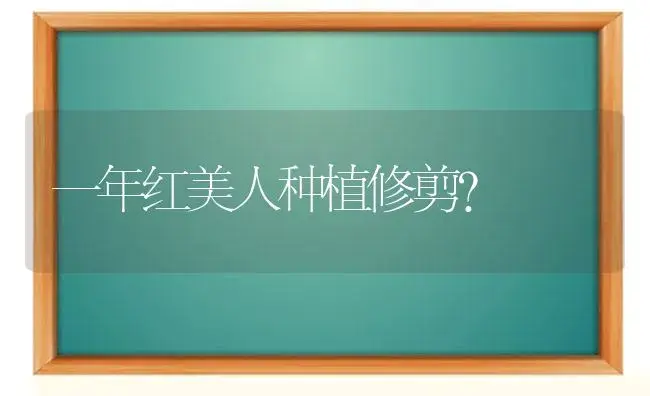 一年红美人种植修剪？ | 多肉养殖