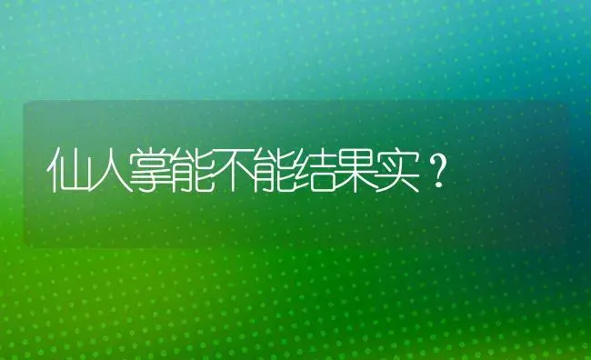 仙人掌能不能结果实？ | 多肉养殖