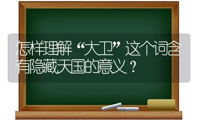 怎样理解“大卫”这个词含有隐藏天国的意义？ | 多肉养殖