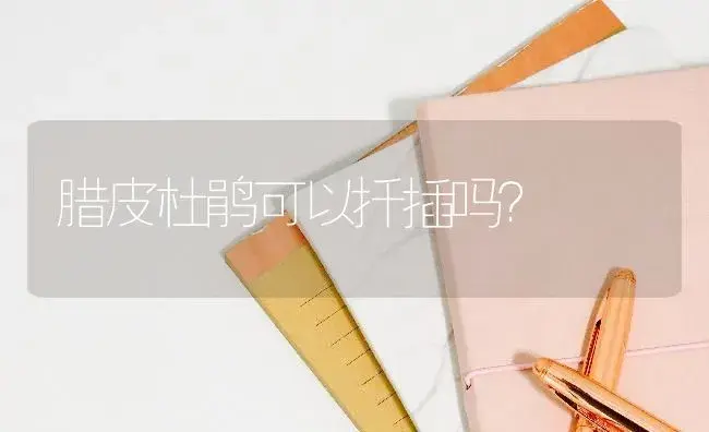 腊皮杜鹃可以扦插吗？ | 绿植常识