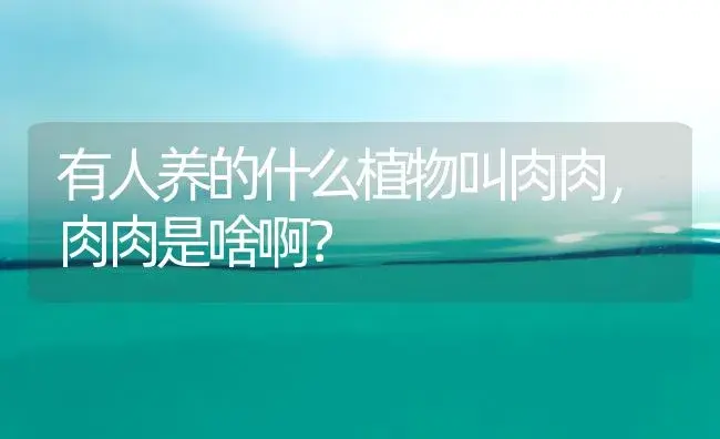 有人养的什么植物叫肉肉,肉肉是啥啊？ | 多肉养殖