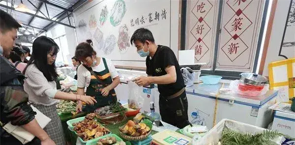 云南昆明篆新野生菌市场开街 上市野生菌量多价跌