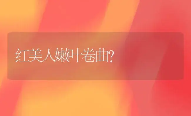 红美人嫩叶卷曲？ | 多肉养殖