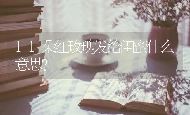 11朵红玫瑰发给闺蜜什么意思？ | 绿植常识