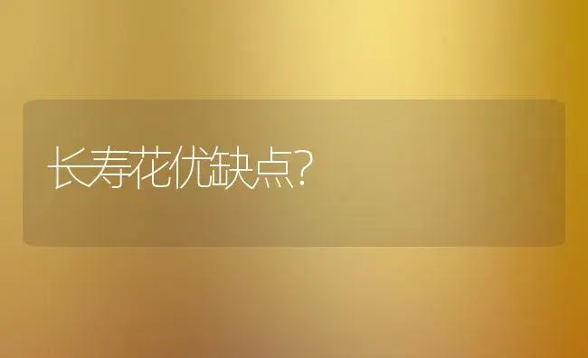 长寿花优缺点？ | 多肉养殖