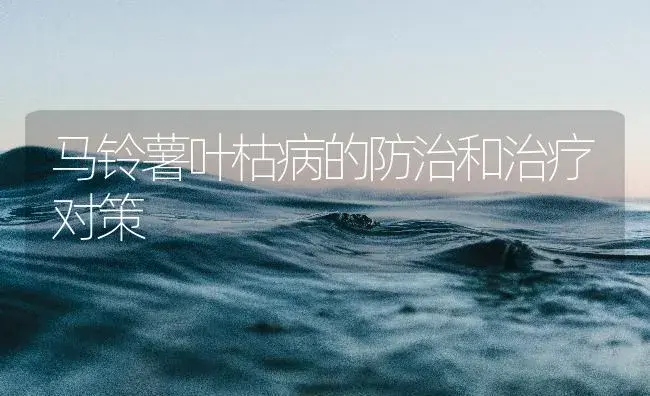 马铃薯叶枯病的防治和治疗对策 | 农作物种植