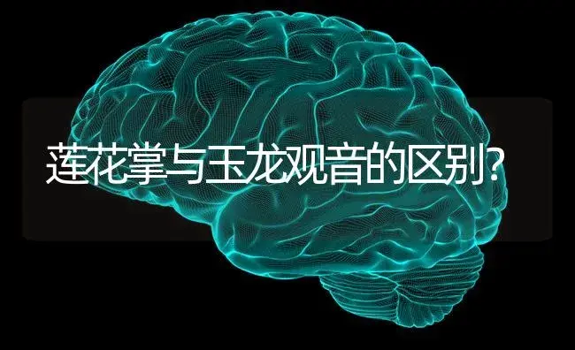 莲花掌与玉龙观音的区别？ | 多肉养殖