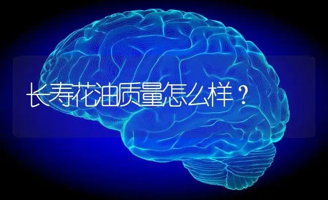 长寿花油质量怎么样？ | 多肉养殖