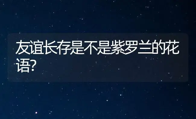 友谊长存是不是紫罗兰的花语？ | 绿植常识