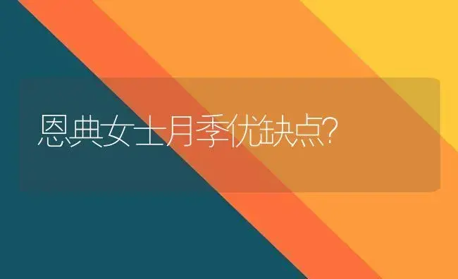 恩典女士月季优缺点？ | 绿植常识