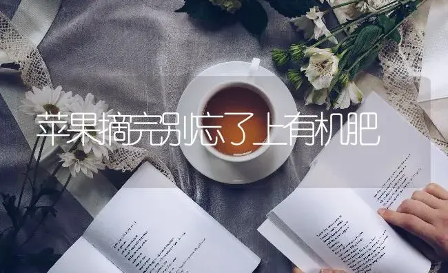 苹果摘完别忘了上有机肥 | 果木种植