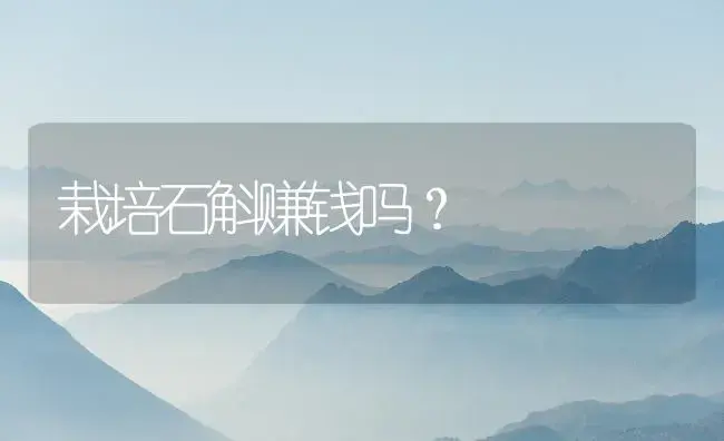 栽培石斛赚钱吗？ | 药材种植