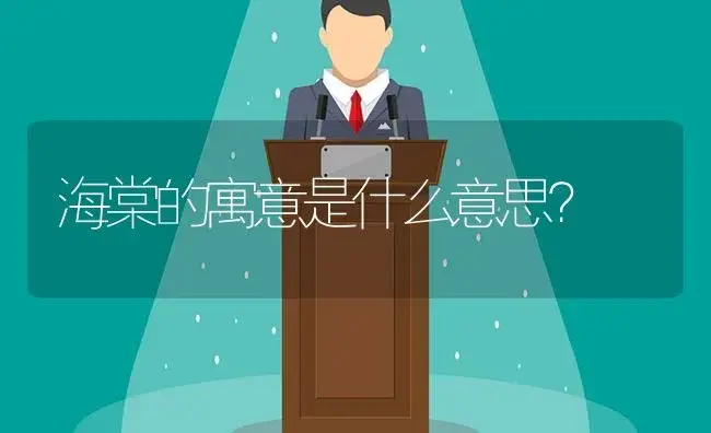 海棠的寓意是什么意思？ | 多肉养殖