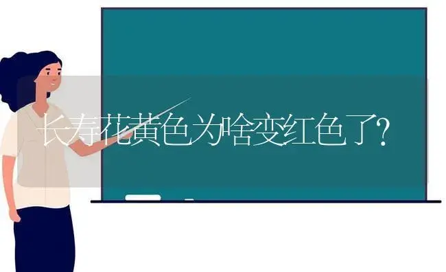 长寿花黄色为啥变红色了？ | 多肉养殖