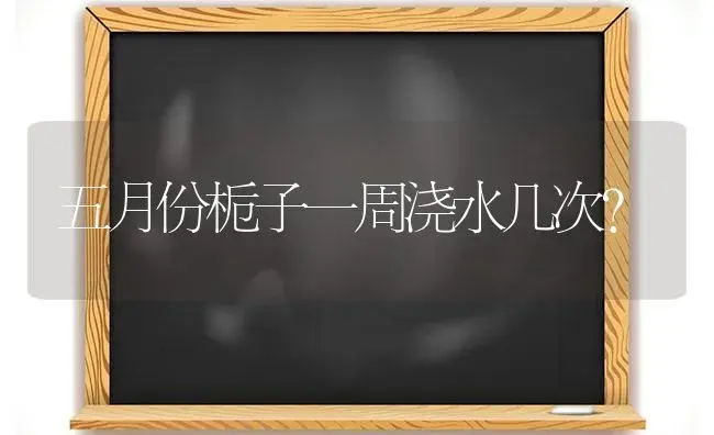 五月份栀子一周浇水几次？ | 绿植常识