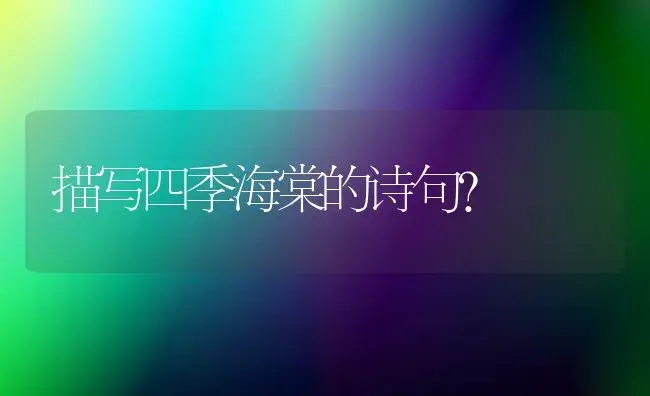 描写四季海棠的诗句？ | 绿植常识